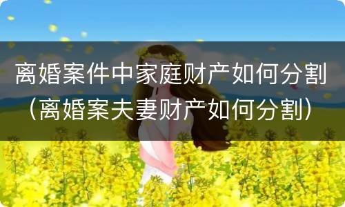 离婚案件中家庭财产如何分割（离婚案夫妻财产如何分割）
