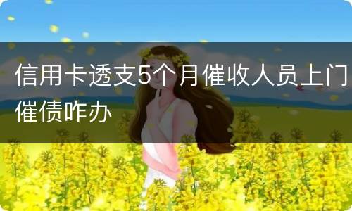 信用卡透支5个月催收人员上门催债咋办