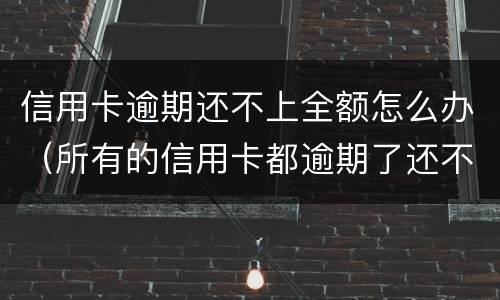 信用卡逾期还不上全额怎么办（所有的信用卡都逾期了还不上,怎么办）