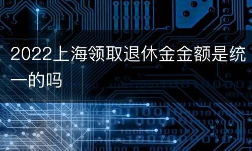 2022上海领取退休金金额是统一的吗