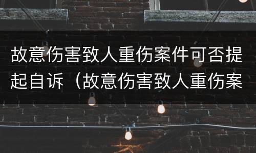 故意伤害致人重伤案件可否提起自诉（故意伤害致人重伤案件可否提起自诉申请）