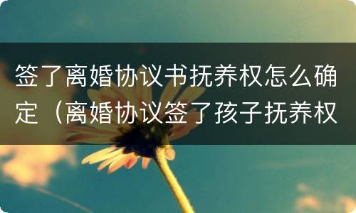 签了离婚协议书抚养权怎么确定（离婚协议签了孩子抚养权可以要回来吗）