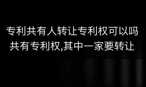 专利共有人转让专利权可以吗 共有专利权,其中一家要转让,可以吗?