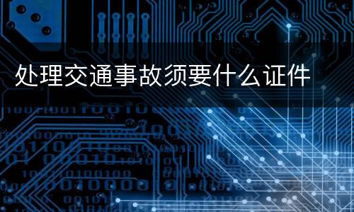 处理交通事故须要什么证件