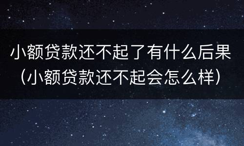 小额贷款还不起了有什么后果（小额贷款还不起会怎么样）
