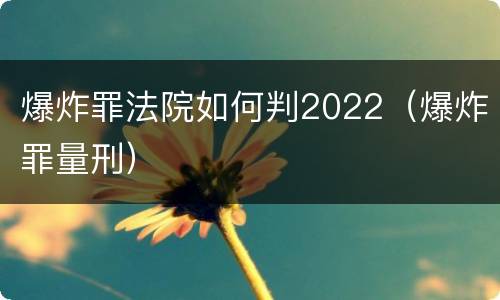 爆炸罪法院如何判2022（爆炸罪量刑）