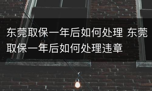 东莞取保一年后如何处理 东莞取保一年后如何处理违章