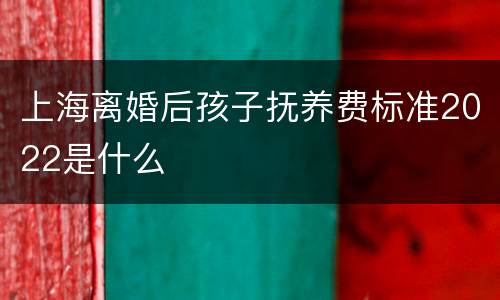 上海离婚后孩子抚养费标准2022是什么