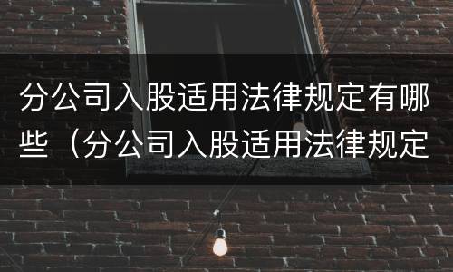 分公司入股适用法律规定有哪些（分公司入股适用法律规定有哪些要求）