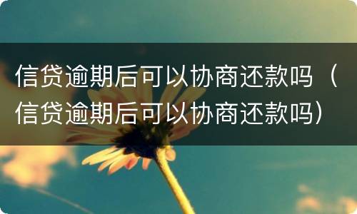 信贷逾期后可以协商还款吗（信贷逾期后可以协商还款吗）