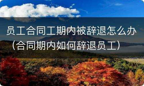 员工合同工期内被辞退怎么办（合同期内如何辞退员工）
