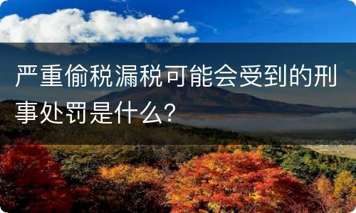严重偷税漏税可能会受到的刑事处罚是什么？