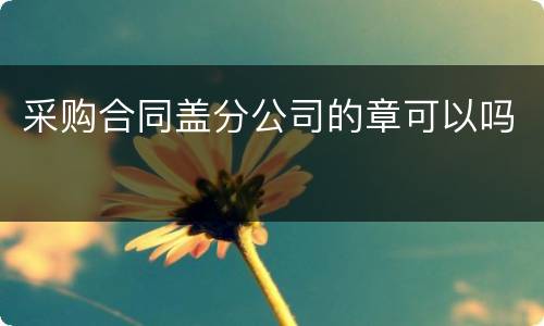 采购合同盖分公司的章可以吗