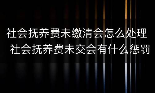 社会抚养费未缴清会怎么处理 社会抚养费未交会有什么惩罚