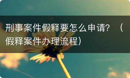 刑事案件假释要怎么申请？（假释案件办理流程）
