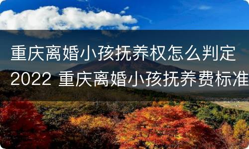 重庆离婚小孩抚养权怎么判定2022 重庆离婚小孩抚养费标准2019每个月是多少