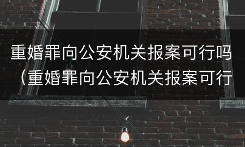 重婚罪向公安机关报案可行吗（重婚罪向公安机关报案可行吗）