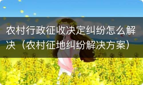 农村行政征收决定纠纷怎么解决（农村征地纠纷解决方案）