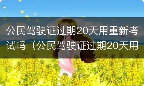 公民驾驶证过期20天用重新考试吗（公民驾驶证过期20天用重新考试吗怎么办）