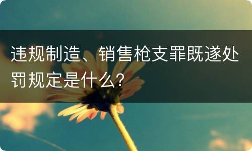 违规制造、销售枪支罪既遂处罚规定是什么？