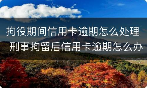 拘役期间信用卡逾期怎么处理 刑事拘留后信用卡逾期怎么办