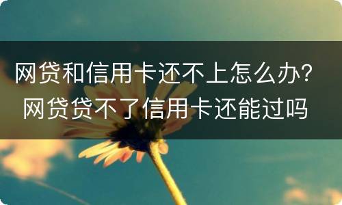 网贷和信用卡还不上怎么办？ 网贷贷不了信用卡还能过吗