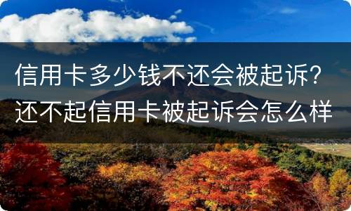 信用卡多少钱不还会被起诉? 还不起信用卡被起诉会怎么样
