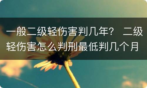 一般二级轻伤害判几年？ 二级轻伤害怎么判刑最低判几个月