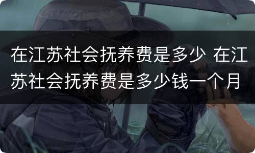 在江苏社会抚养费是多少 在江苏社会抚养费是多少钱一个月
