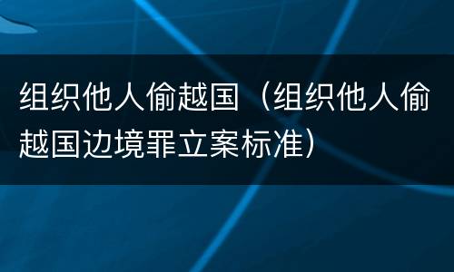 组织他人偷越国（组织他人偷越国边境罪立案标准）