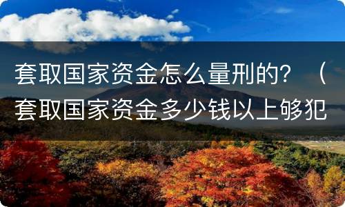 套取国家资金怎么量刑的？（套取国家资金多少钱以上够犯罪）