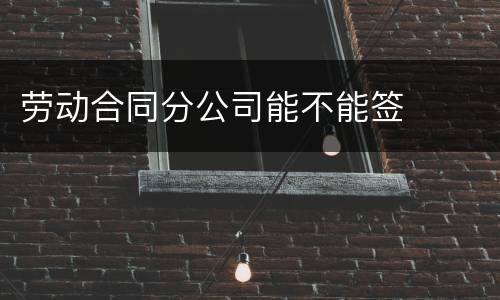 劳动合同分公司能不能签