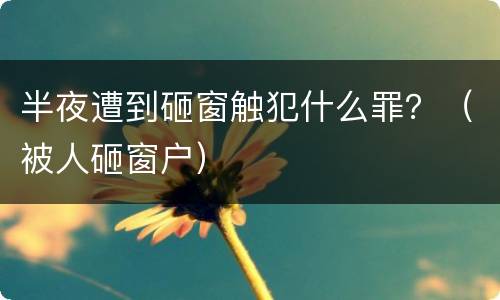 半夜遭到砸窗触犯什么罪？（被人砸窗户）