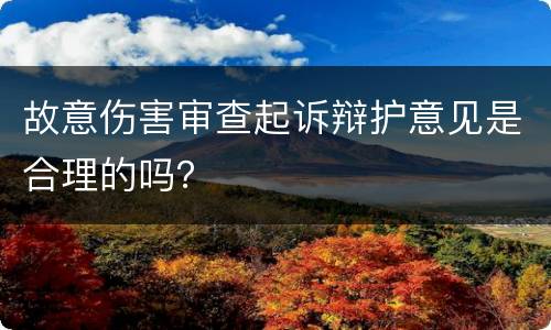故意伤害审查起诉辩护意见是合理的吗？