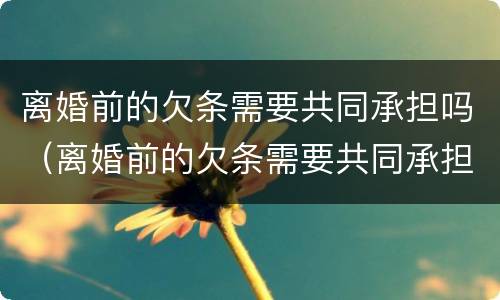 离婚前的欠条需要共同承担吗（离婚前的欠条需要共同承担吗法律规定）