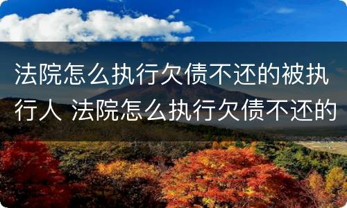 法院怎么执行欠债不还的被执行人 法院怎么执行欠债不还的被执行人的钱