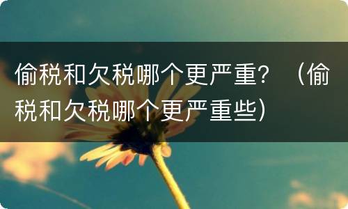 偷税和欠税哪个更严重？（偷税和欠税哪个更严重些）