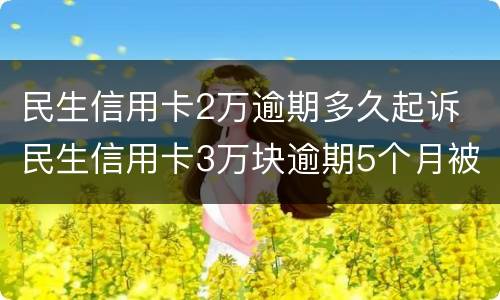 民生信用卡2万逾期多久起诉 民生信用卡3万块逾期5个月被起诉了怎么办