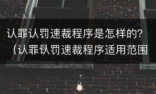 认罪认罚速裁程序是怎样的？（认罪认罚速裁程序适用范围）