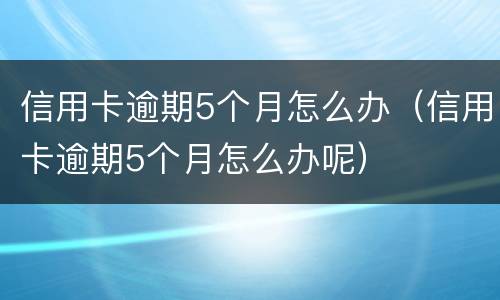 信用卡逾期5个月怎么办（信用卡逾期5个月怎么办呢）