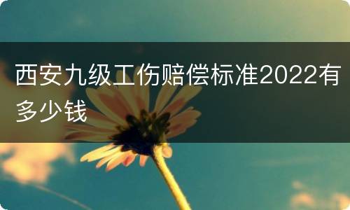 西安九级工伤赔偿标准2022有多少钱