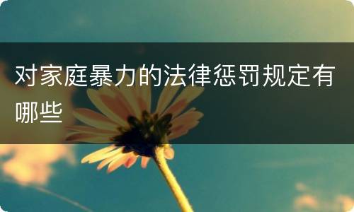 对家庭暴力的法律惩罚规定有哪些
