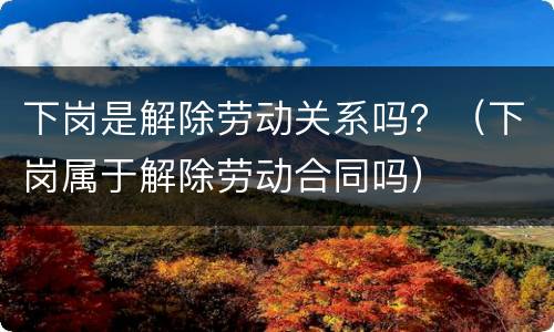 下岗是解除劳动关系吗？（下岗属于解除劳动合同吗）