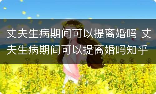 丈夫生病期间可以提离婚吗 丈夫生病期间可以提离婚吗知乎