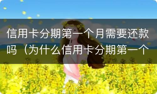 信用卡分期第一个月需要还款吗（为什么信用卡分期第一个月不用还）