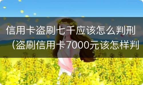 信用卡盗刷七千应该怎么判刑（盗刷信用卡7000元该怎样判刑）