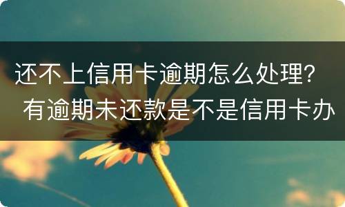 还不上信用卡逾期怎么处理？ 有逾期未还款是不是信用卡办不了