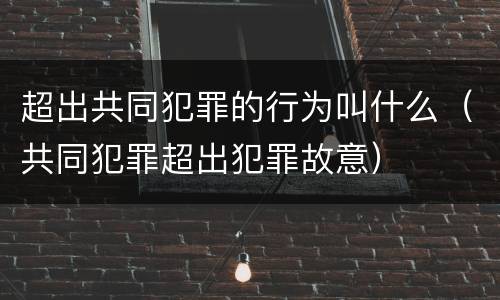 超出共同犯罪的行为叫什么（共同犯罪超出犯罪故意）