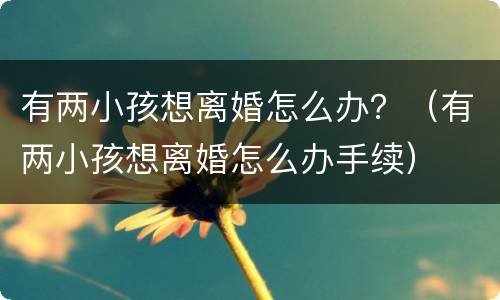 有两小孩想离婚怎么办？（有两小孩想离婚怎么办手续）