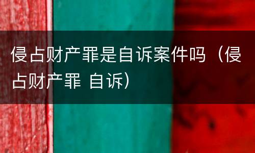 侵占财产罪是自诉案件吗（侵占财产罪 自诉）